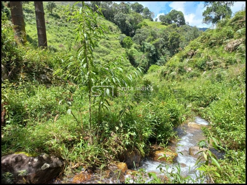 Fazenda à venda, 24m² - Foto 12