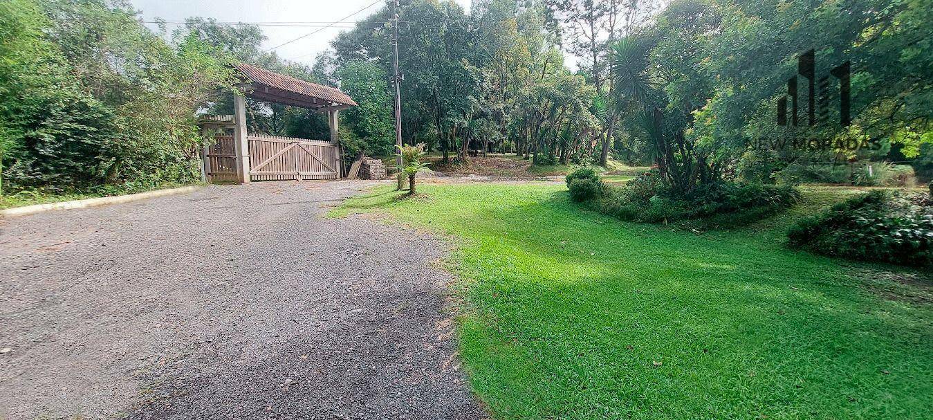 Chácara, 3 hectares - Foto 7