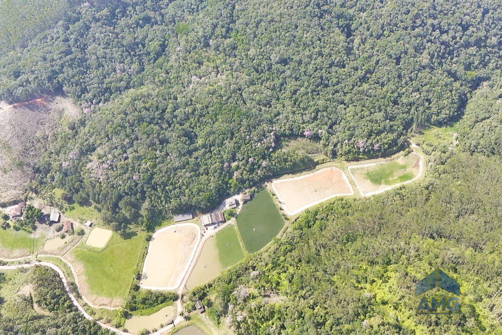 Sítio, 3 quartos, 43 hectares - Foto 5