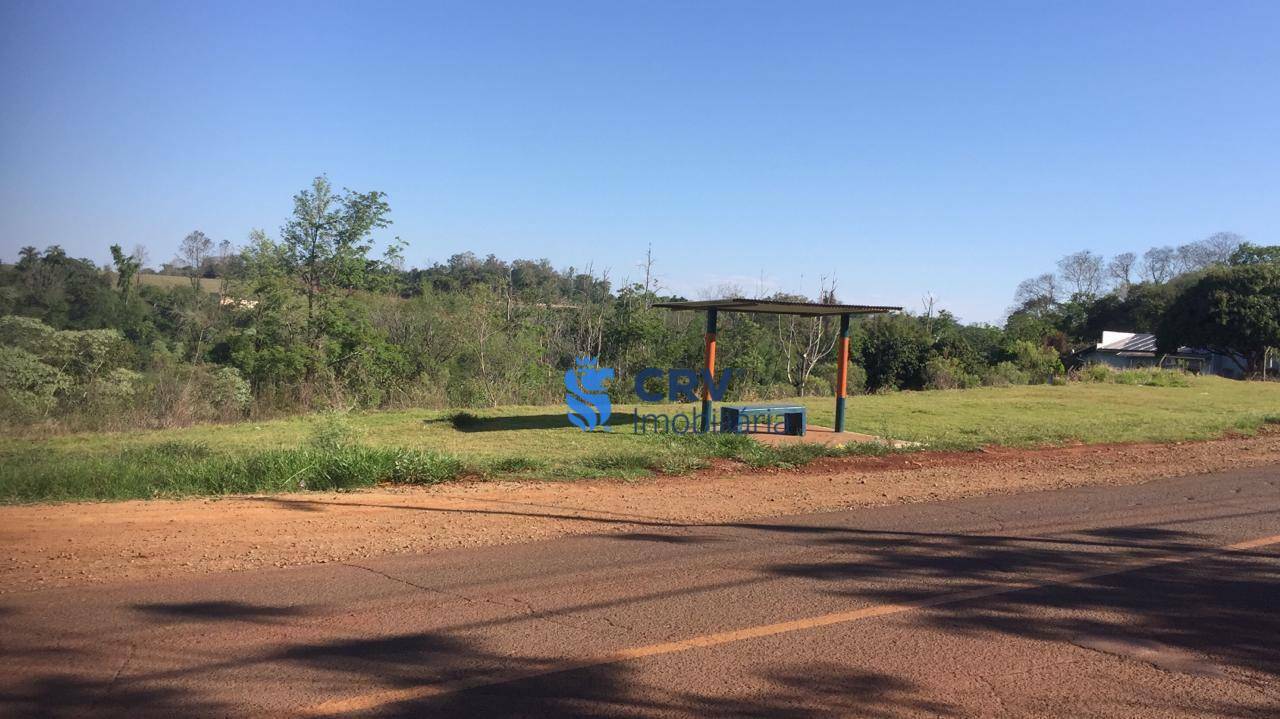 Terreno à venda, 8000M2 - Foto 4