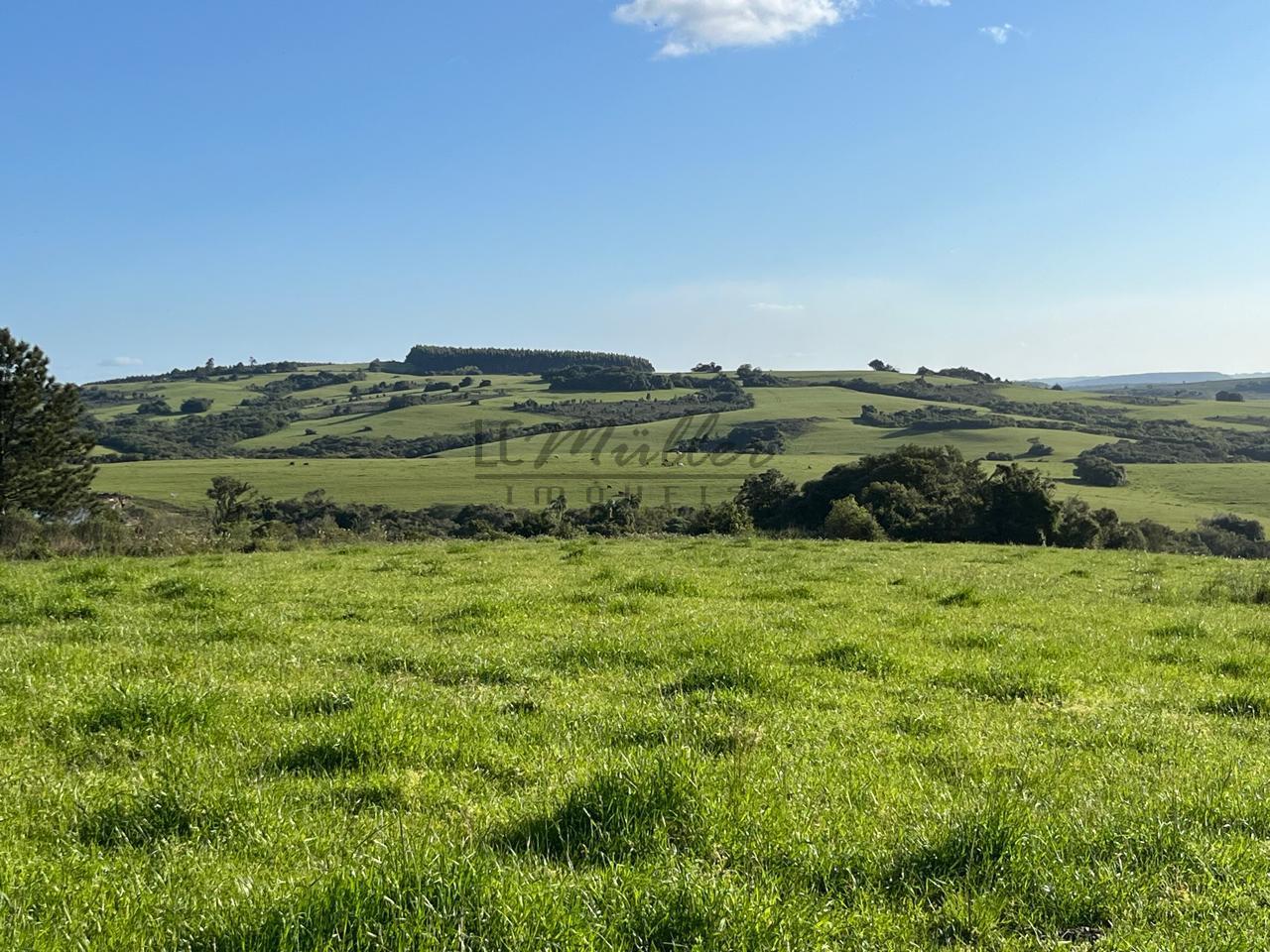 Fazenda à venda, 900m² - Foto 28