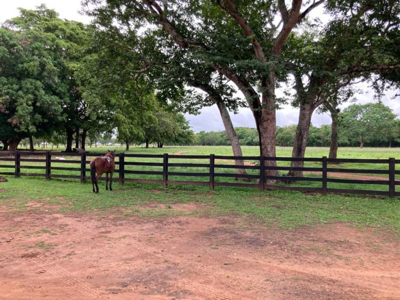 Fazenda à venda, 692m² - Foto 8