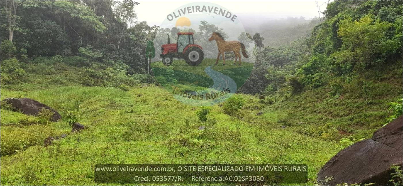 Sítio à venda com 2 quartos, 75000m² - Foto 21