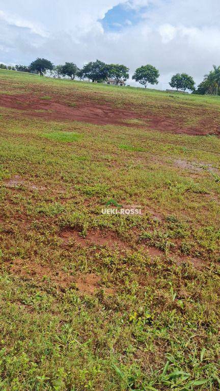 Loteamento e Condomínio à venda, 1500M2 - Foto 3