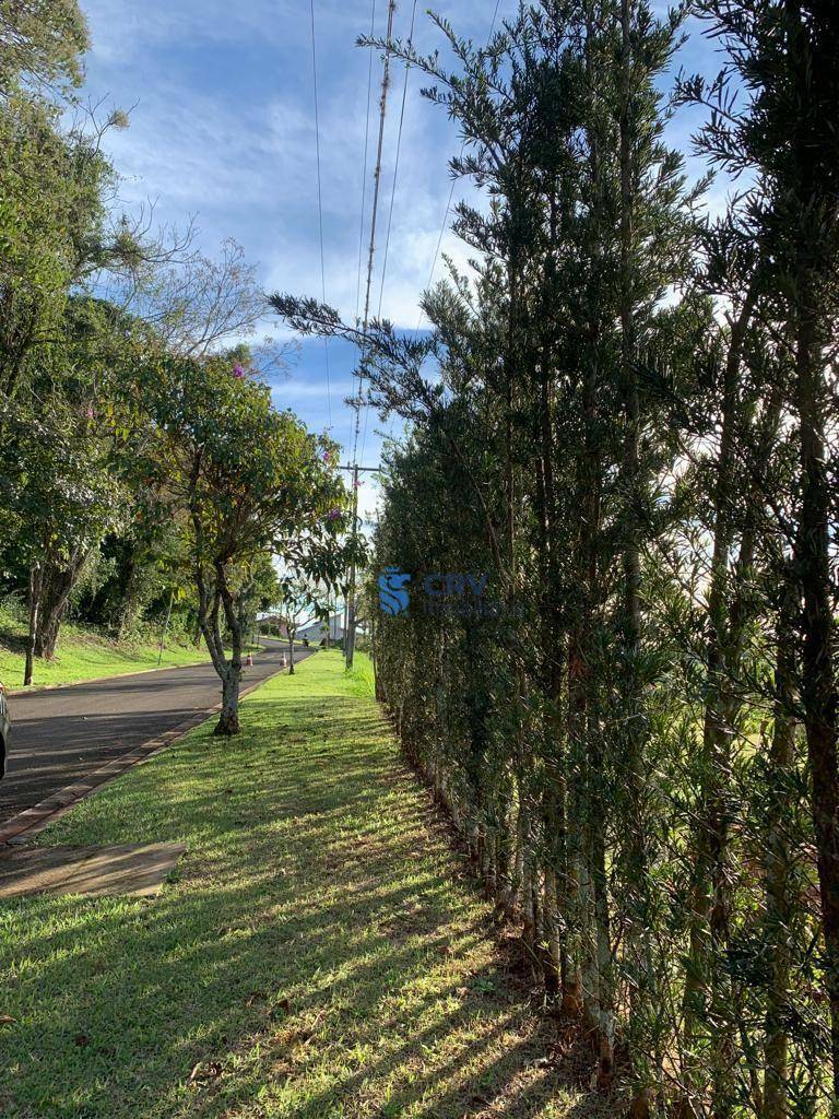 Loteamento e Condomínio à venda, 1786M2 - Foto 3