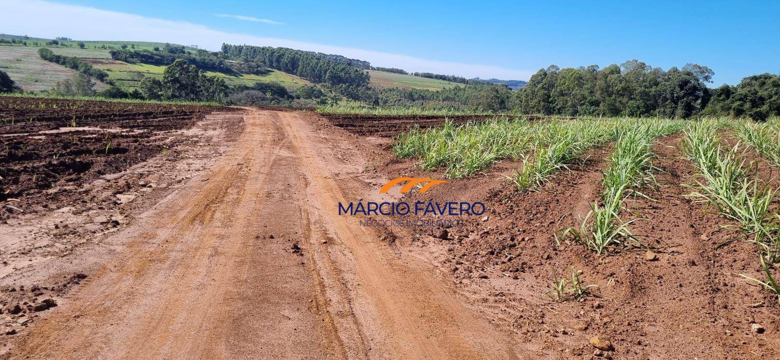 Sítio, 23 hectares - Foto 5