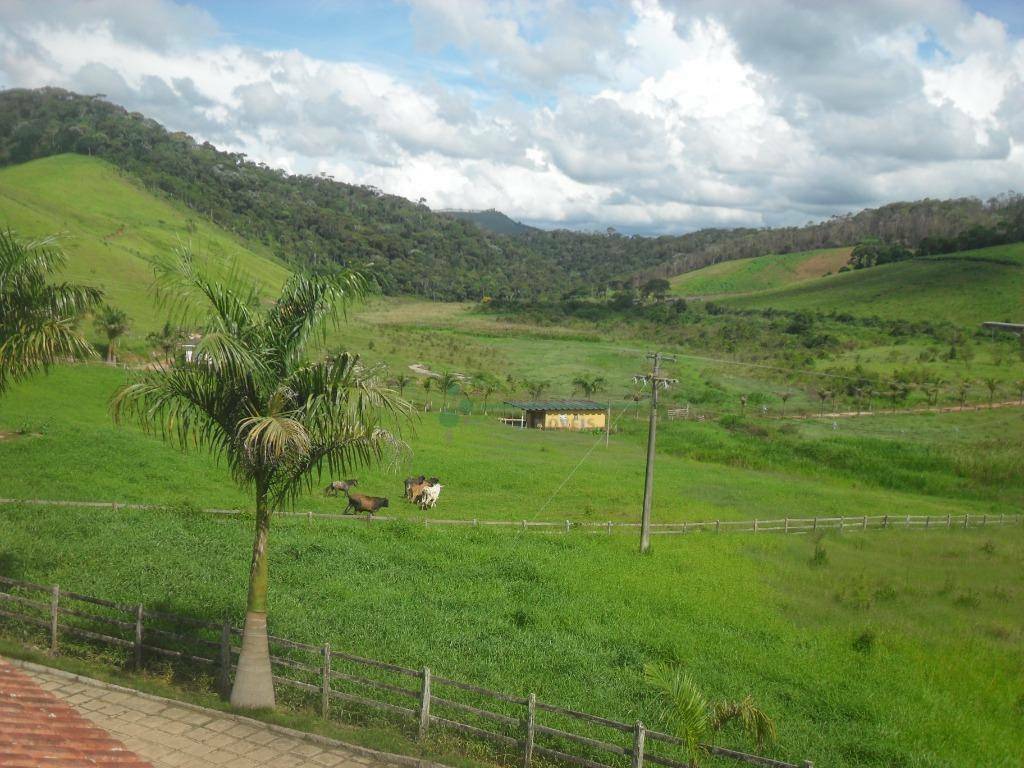 Fazenda à venda com 3 quartos, 120m² - Foto 16