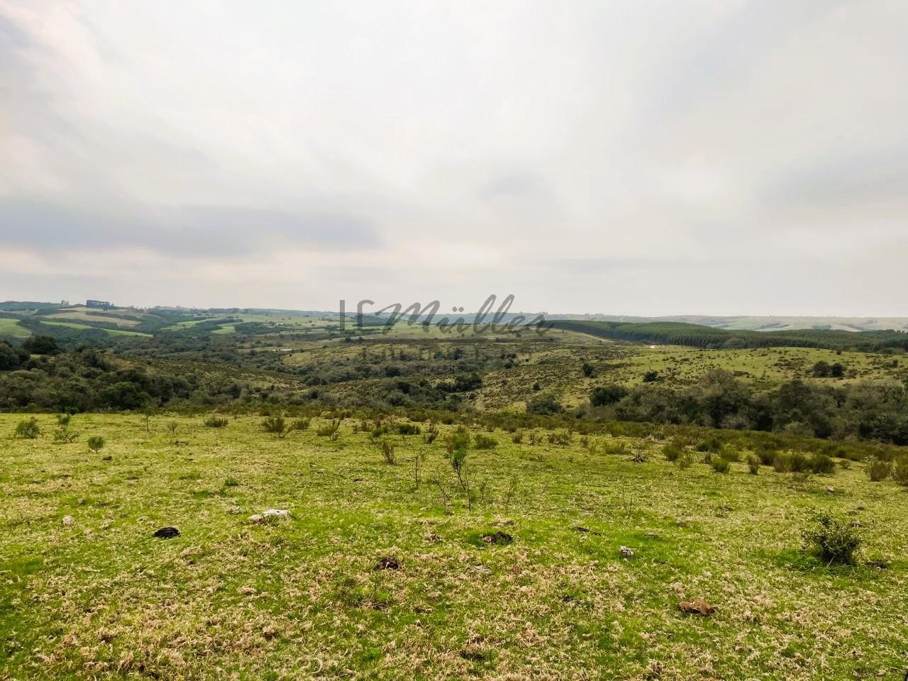 Terreno à venda, 412m² - Foto 2