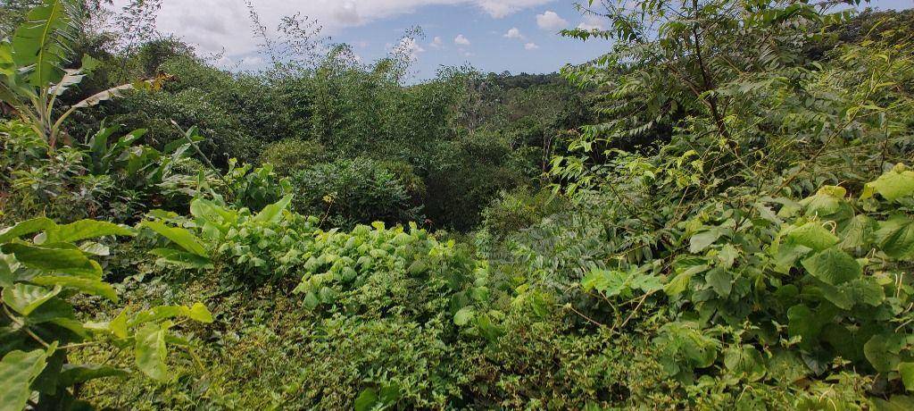 Terreno, 3393 m² - Foto 9