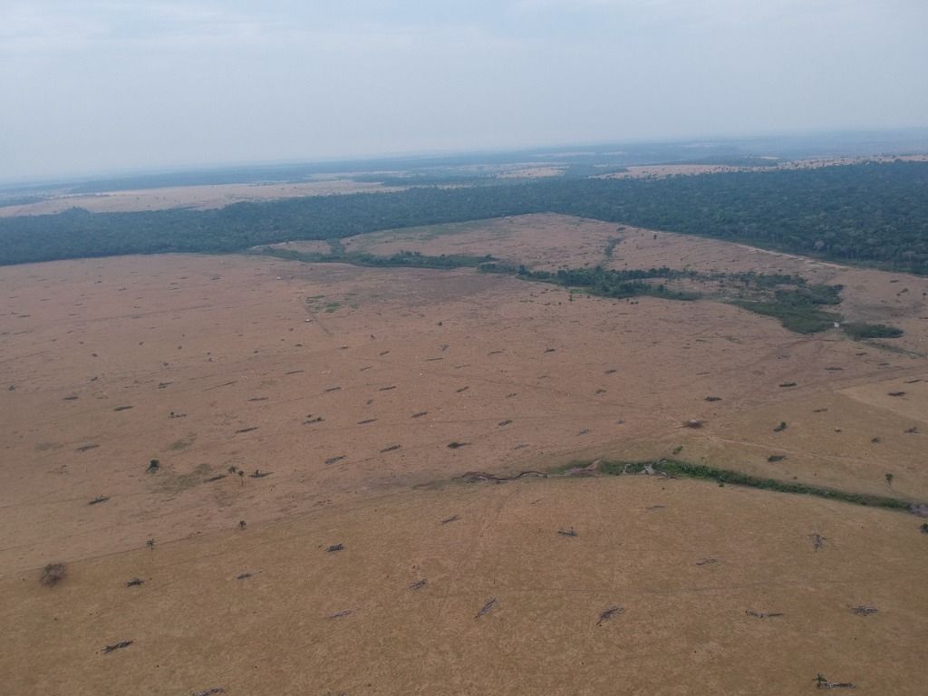 Fazenda à venda, 41140000M2 - Foto 10