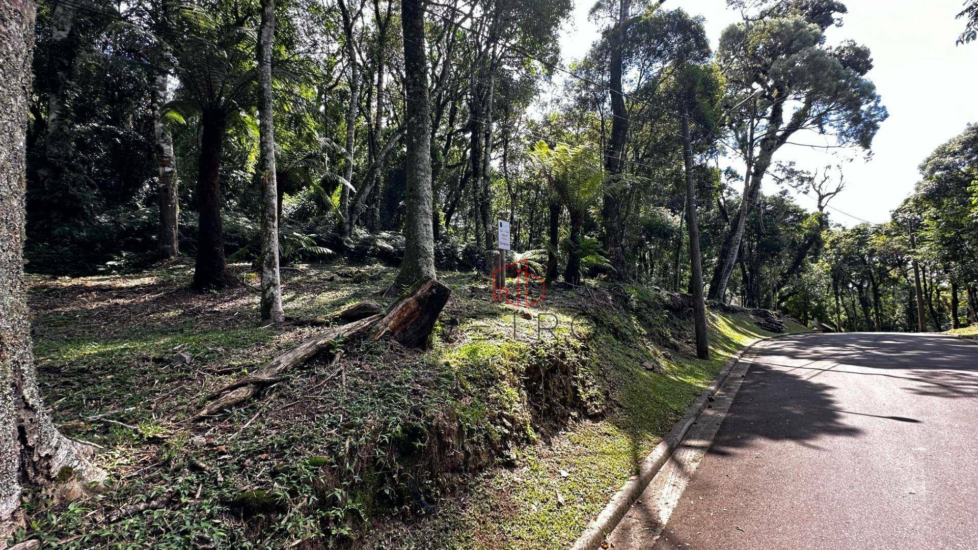 Loteamento e Condomínio à venda, 1024M2 - Foto 5