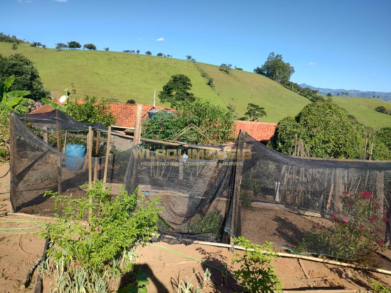 Chácara à venda, 5000m² - Foto 2