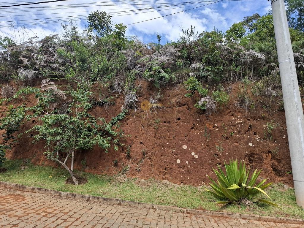 Terreno à venda, 299m² - Foto 3