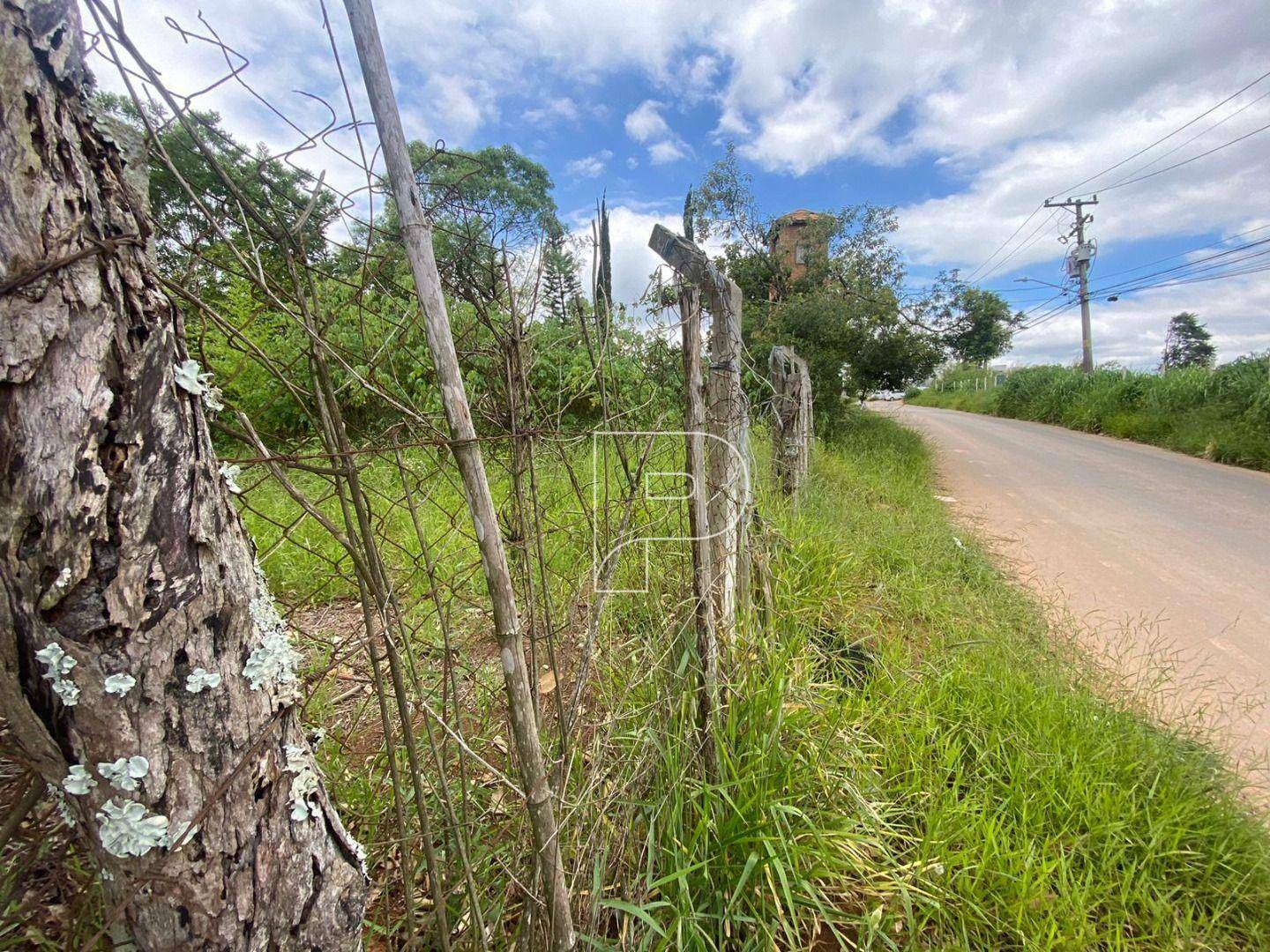 Terreno à venda, 1250M2 - Foto 15