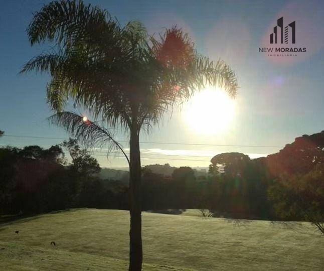 Terreno, 5000 m² - Foto 9