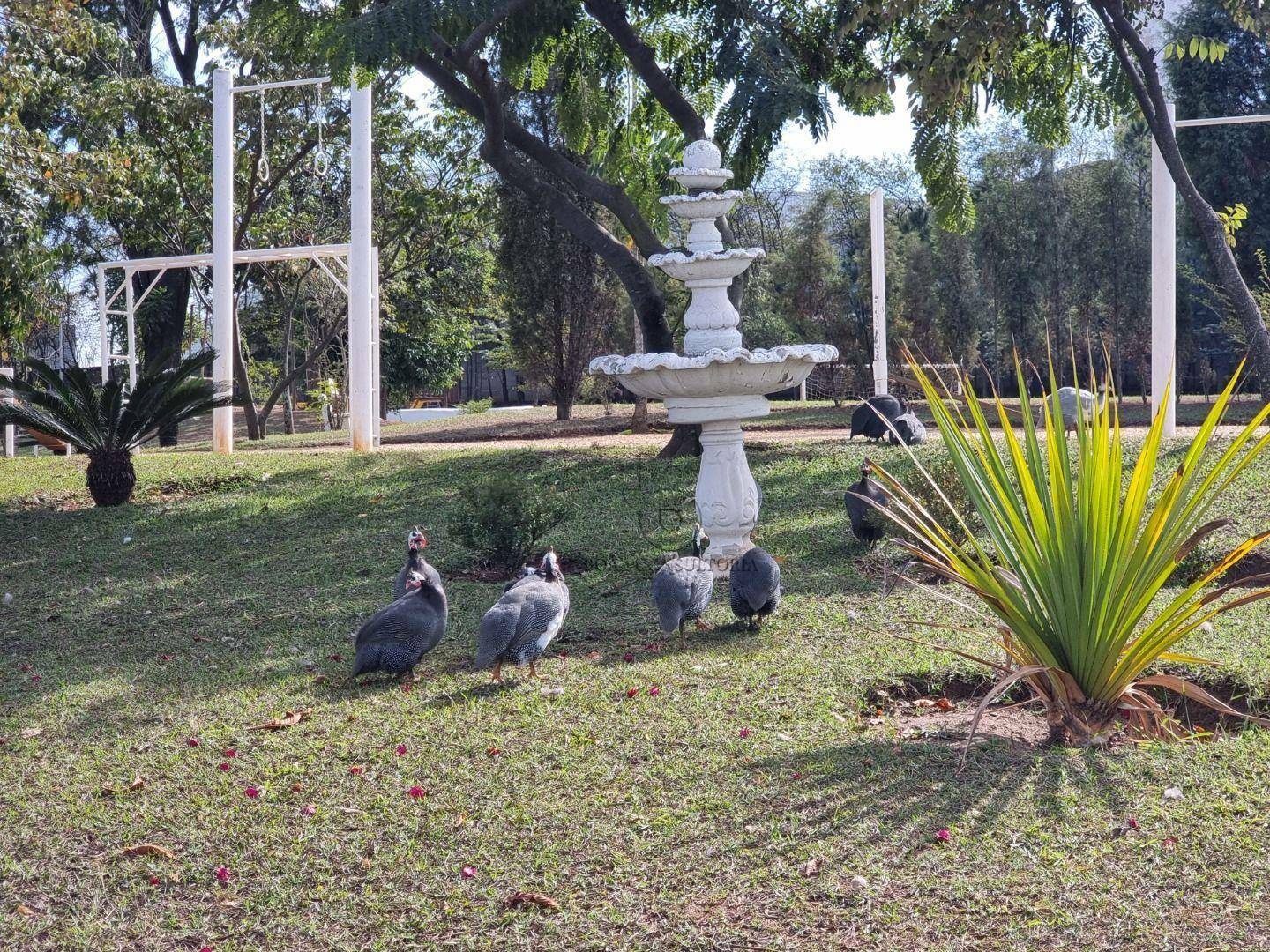 Casa de Condomínio à venda com 3 quartos, 210m² - Foto 21