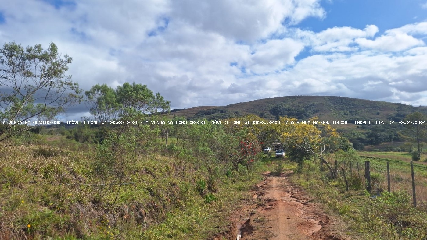 Sítio à venda com 1 quarto, 25000m² - Foto 5