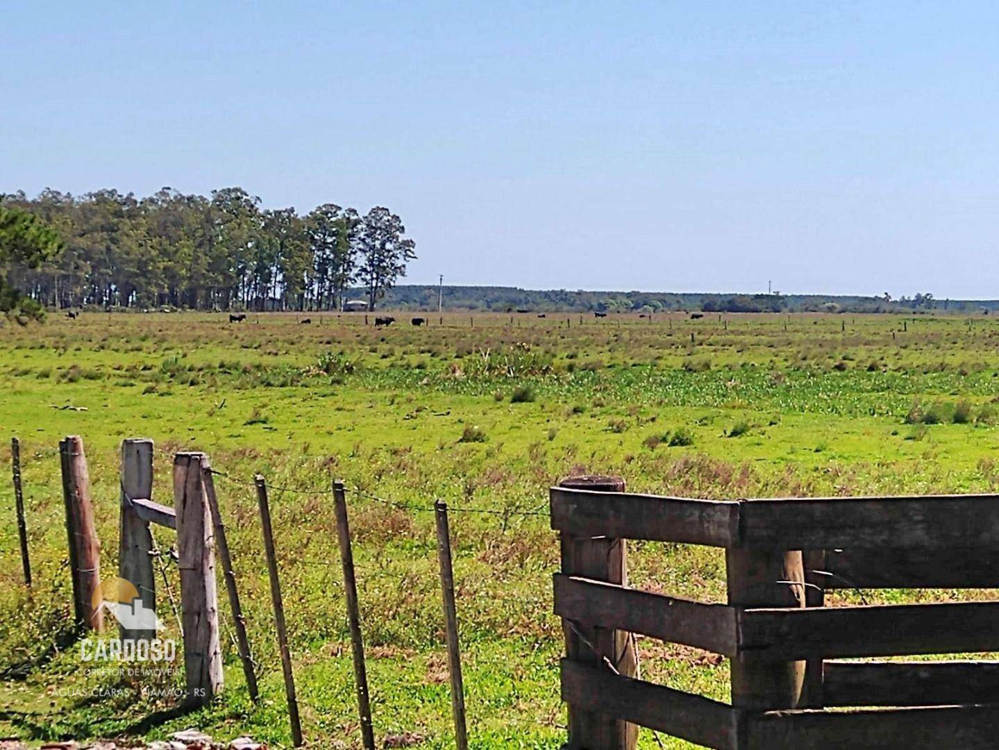 Fazenda à venda, 3160000M2 - Foto 16