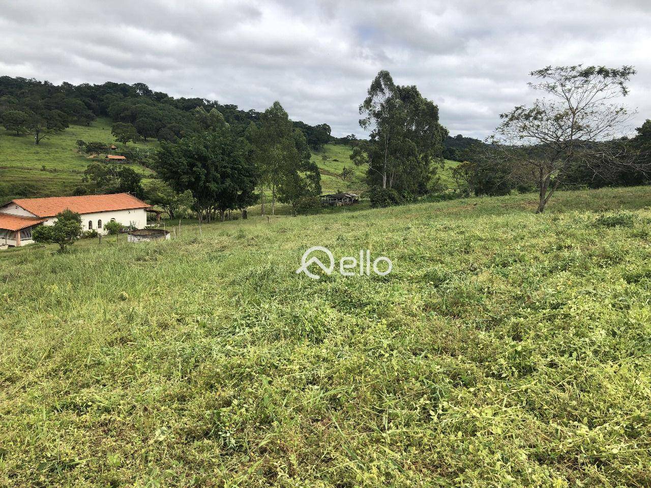 Sítio à venda com 3 quartos, 120000M2 - Foto 35
