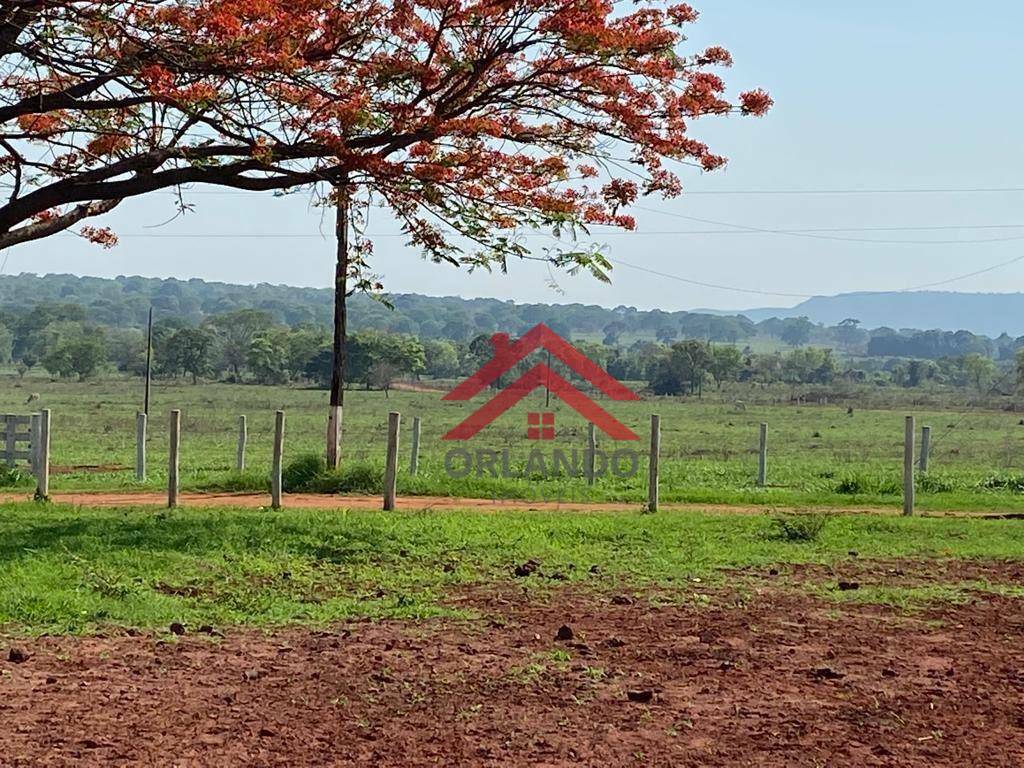 Fazenda à venda com 3 quartos, 2420000M2 - Foto 4