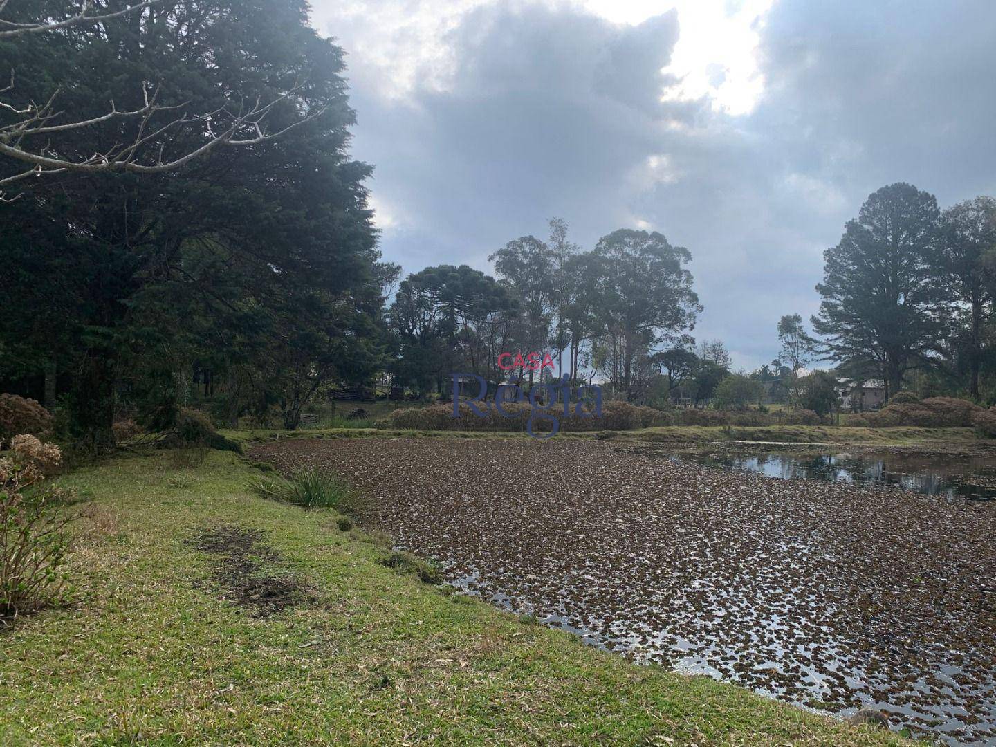 Terreno, 6609 m² - Foto 5