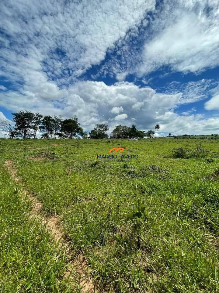 Fazenda, 121 hectares - Foto 4