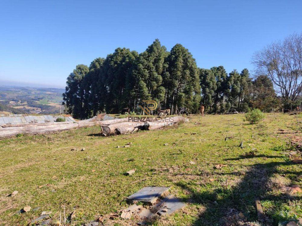 Fazenda à venda, 70000m² - Foto 7