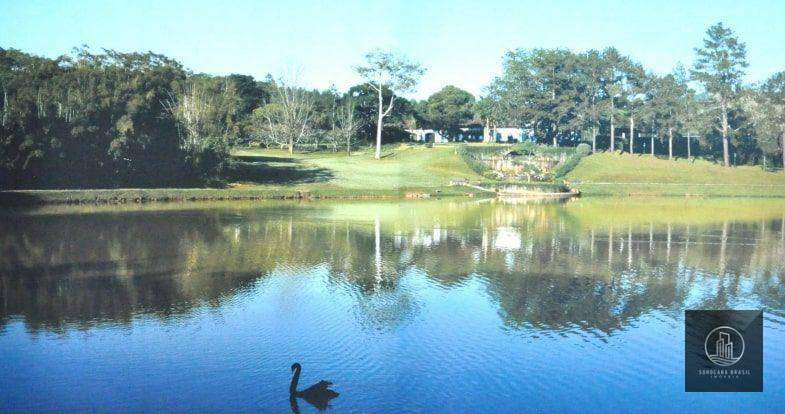 Fazenda-Sítio-Chácara, 486 hectares - Foto 4