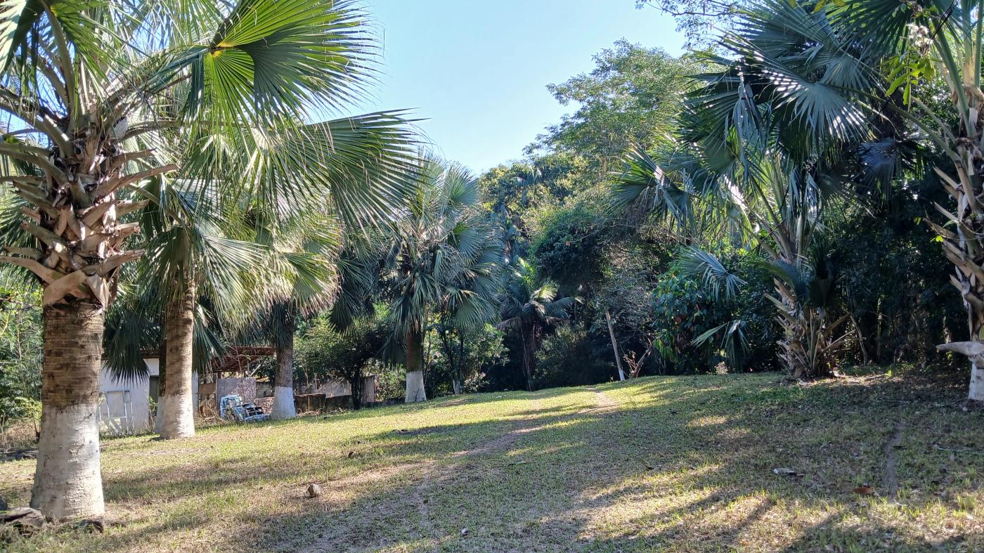 Fazenda à venda com 3 quartos, 100000m² - Foto 27