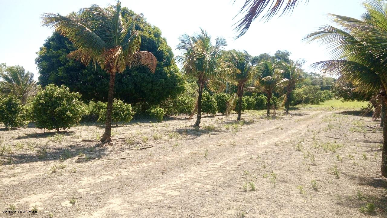 Fazenda à venda, 500000m² - Foto 9