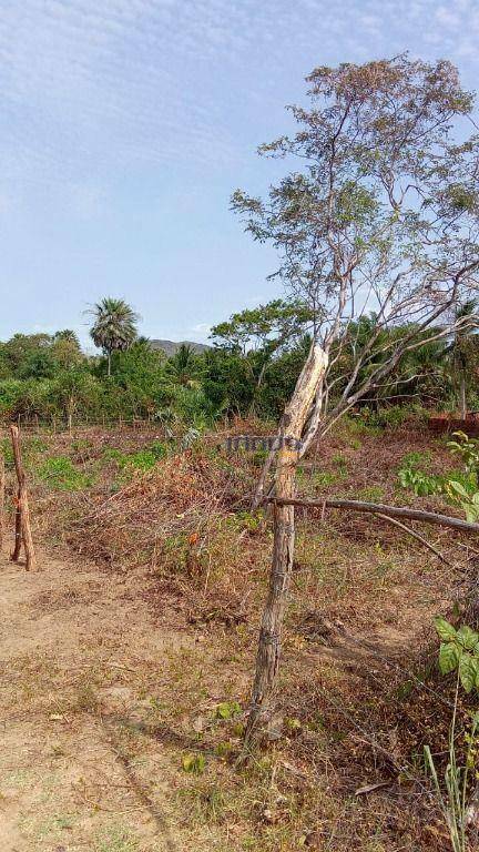 Terreno, 1750 m² - Foto 12