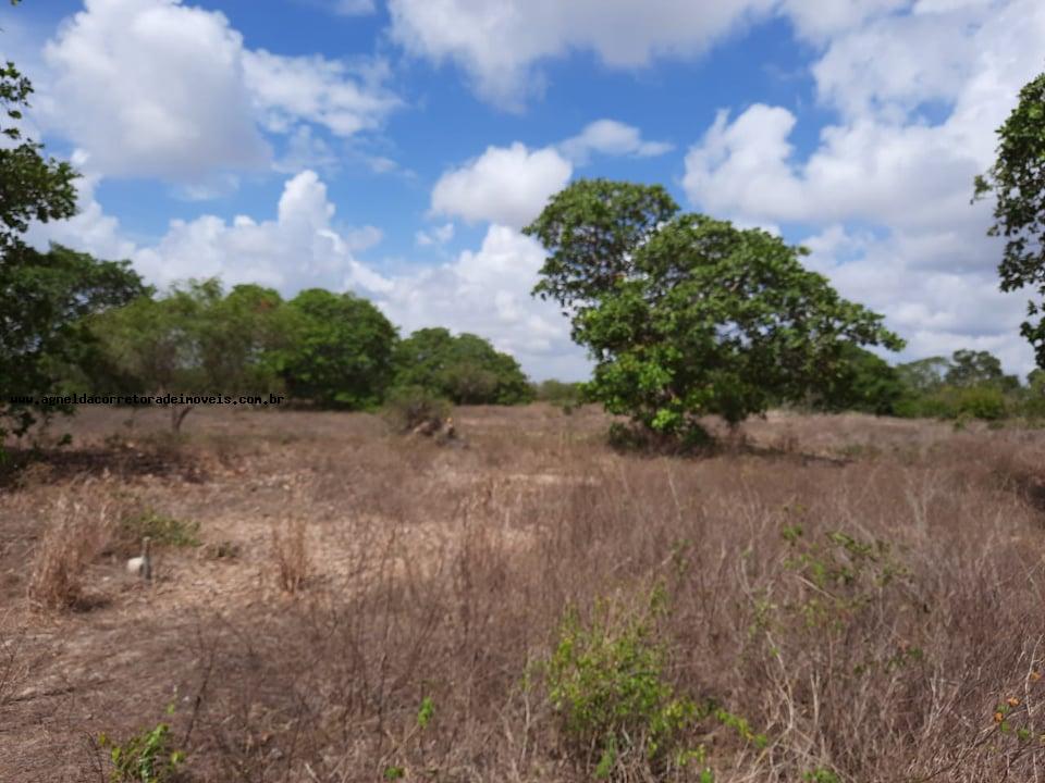 Fazenda à venda com 2 quartos, 14m² - Foto 17