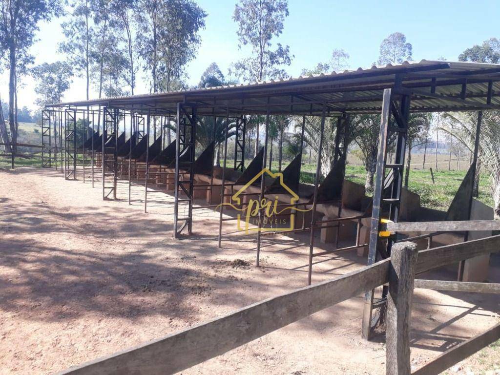 Haras e Área Rural Padrão à venda com 4 quartos, 1000m² - Foto 29