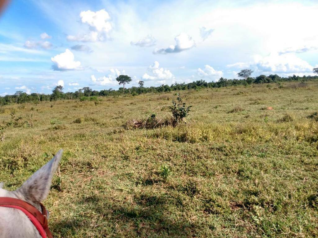 Fazenda à venda, 9873600M2 - Foto 1