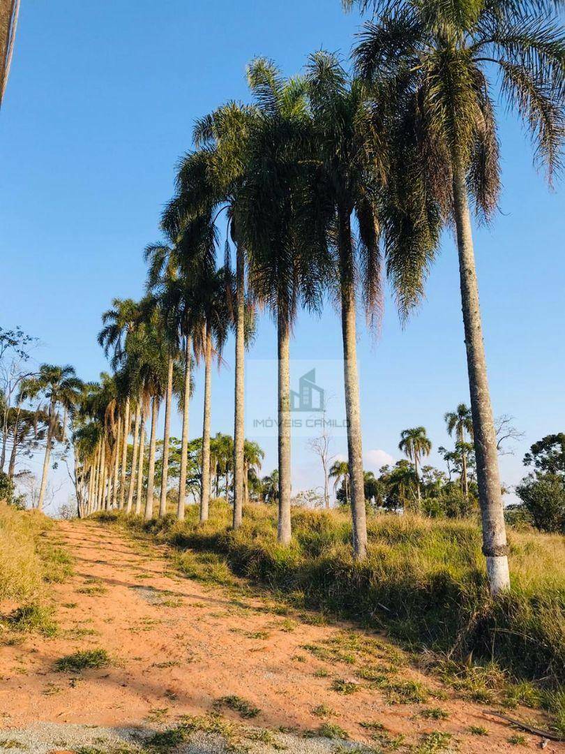 Terreno à venda, 1000M2 - Foto 4