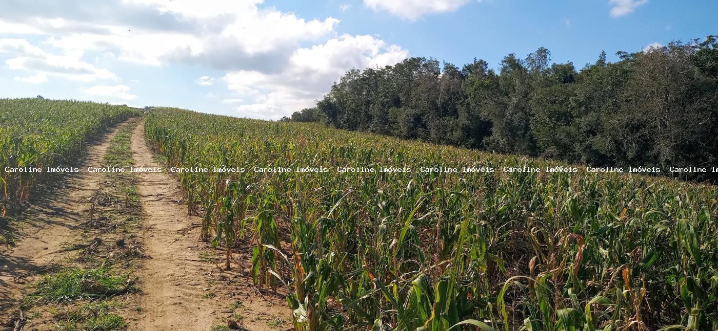 Loteamento e Condomínio para alugar com 4 quartos, 370000m² - Foto 14