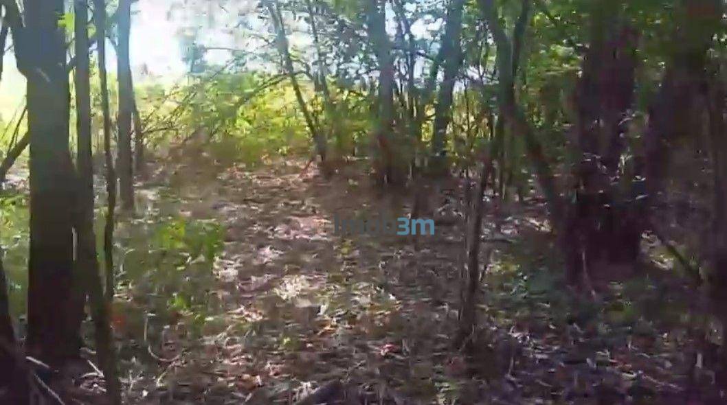 Terreno, 1938 m² - Foto 10