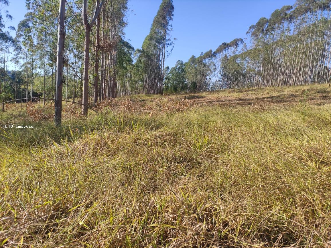 Terreno à venda, 2079m² - Foto 6