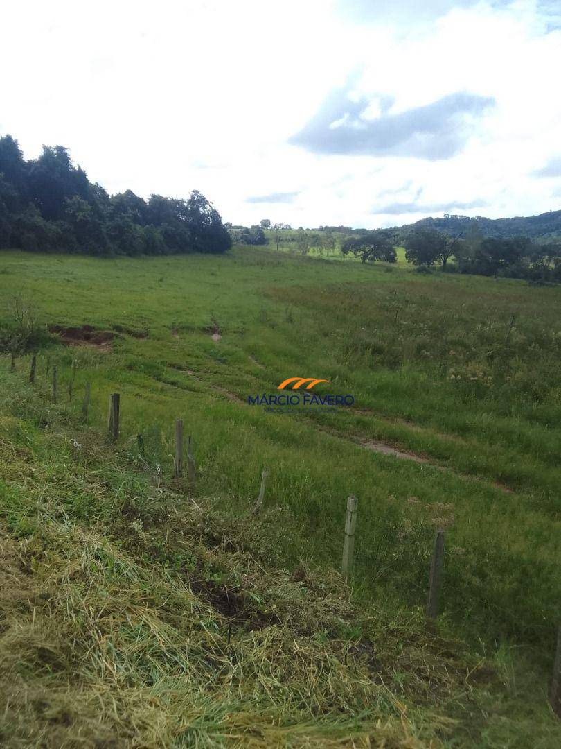 Fazenda, 102 hectares - Foto 18