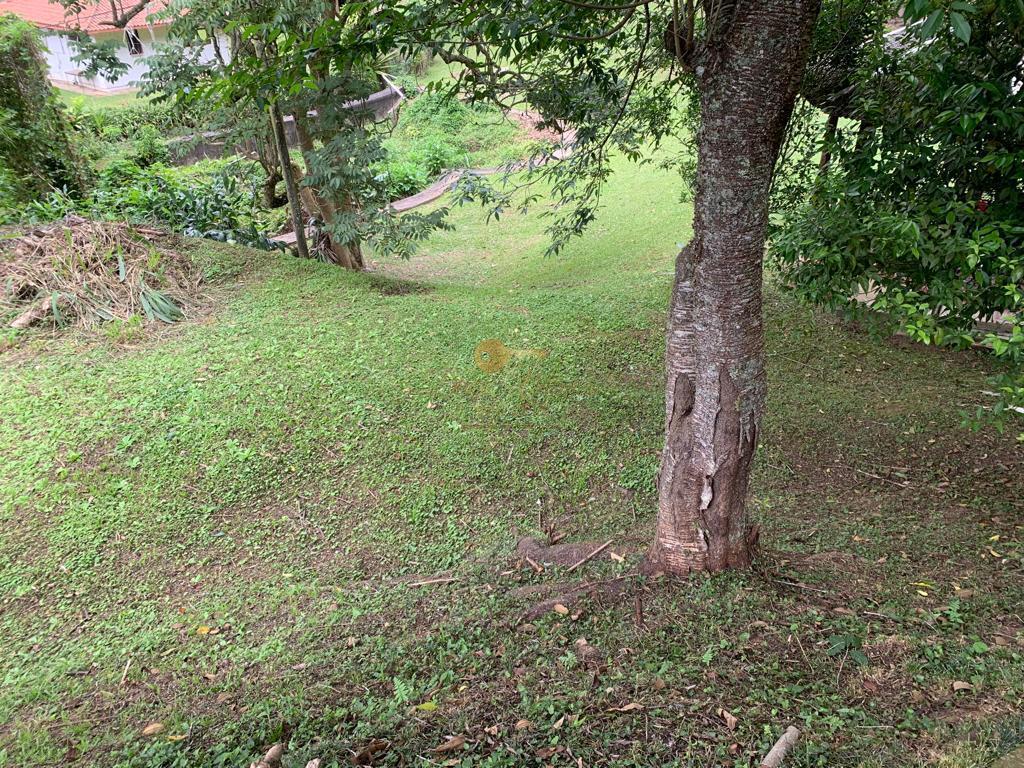 Casa à venda com 5 quartos, 7000m² - Foto 38