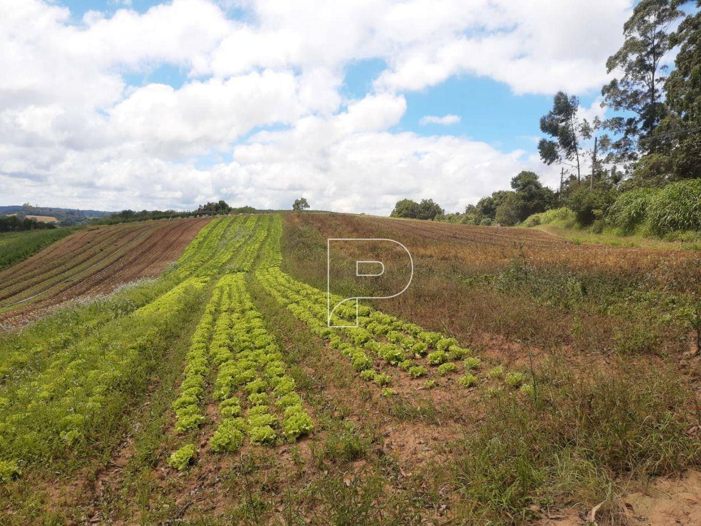 Terreno à venda, 39000M2 - Foto 23