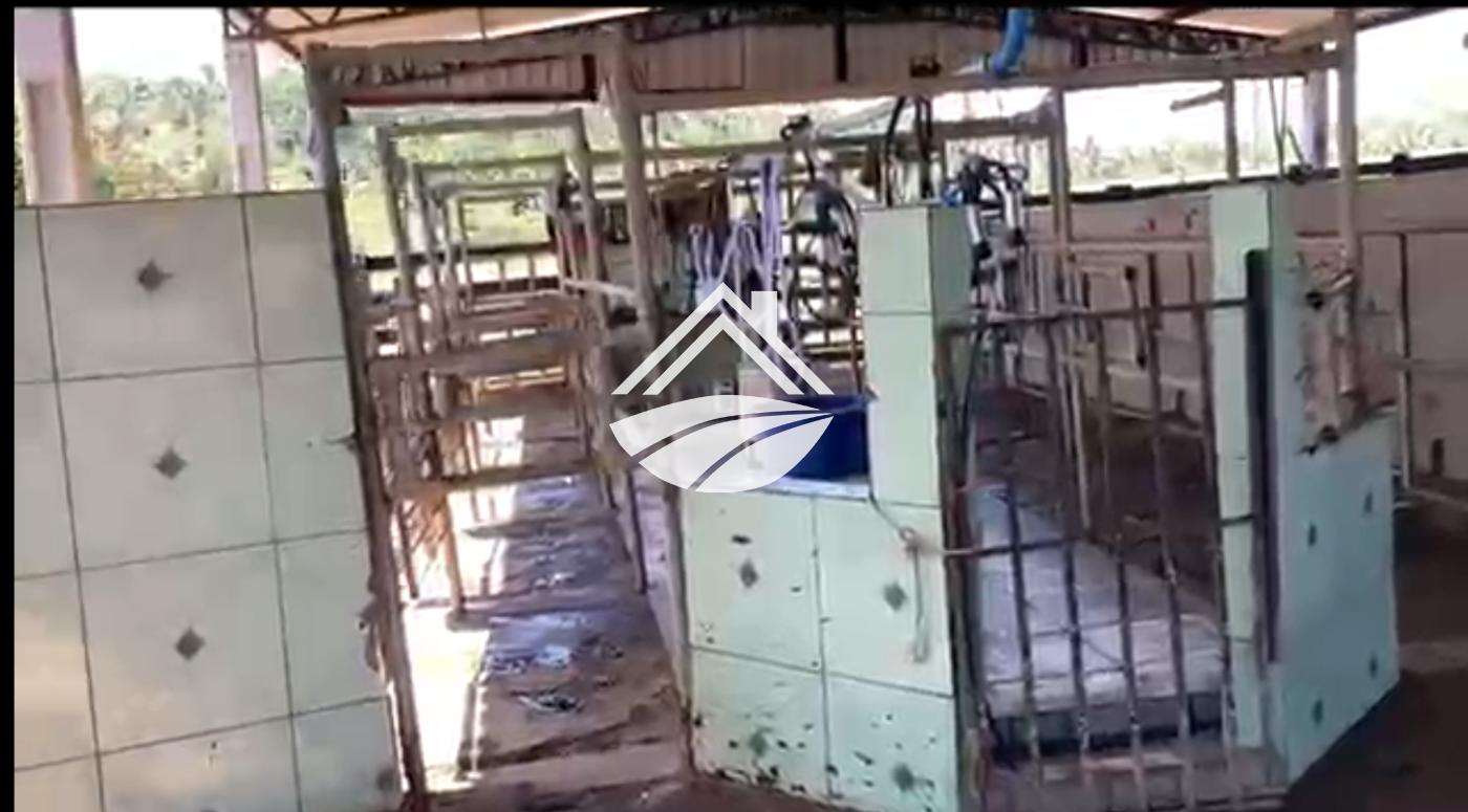Fazenda à venda, 1m² - Foto 6
