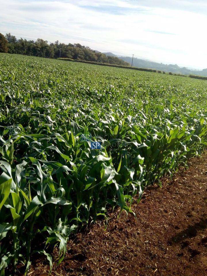 Terreno à venda, 22000M2 - Foto 2