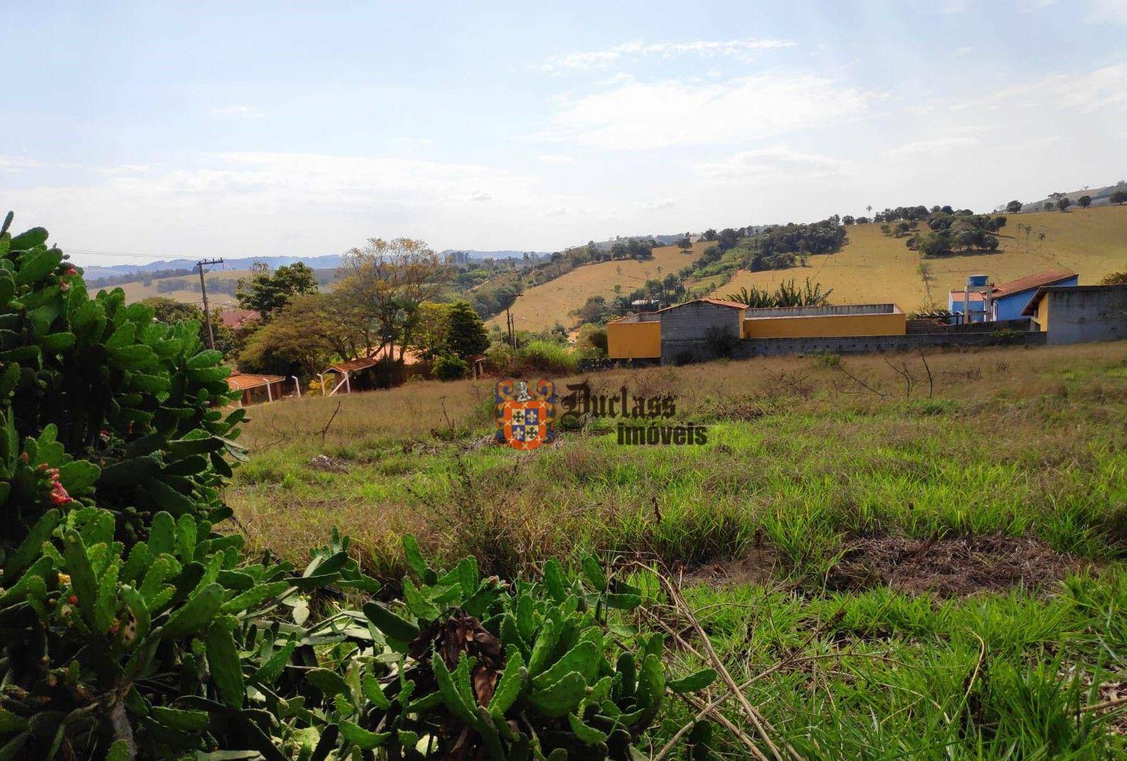 Terreno à venda, 3000M2 - Foto 3