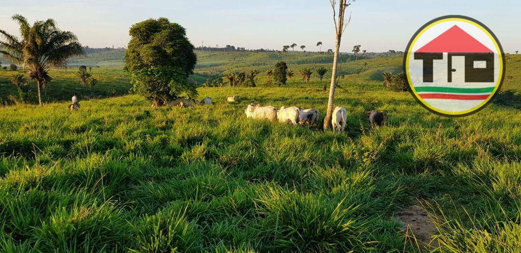 Fazenda à venda, 17085200M2 - Foto 7