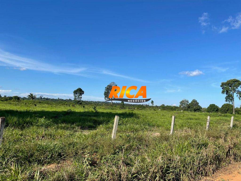 Fazenda, 100 hectares - Foto 5