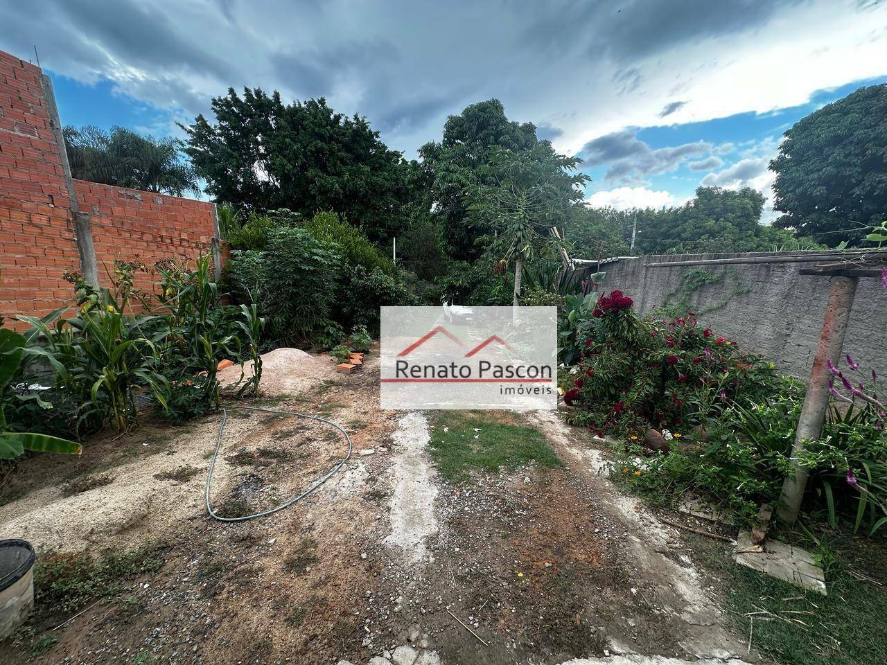 Chácara à venda com 2 quartos, 599M2 - Foto 6