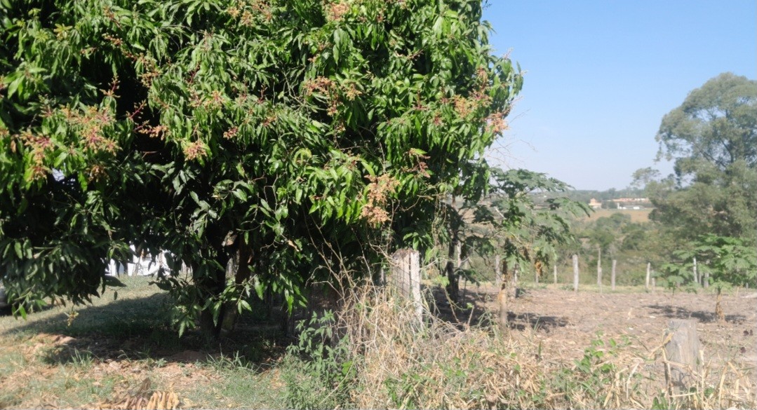 Chácara à venda, 7200m² - Foto 6