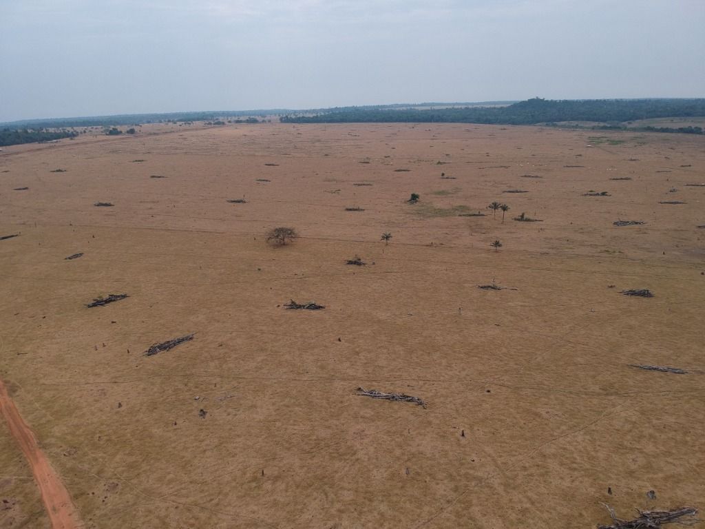 Fazenda à venda, 41140000M2 - Foto 17