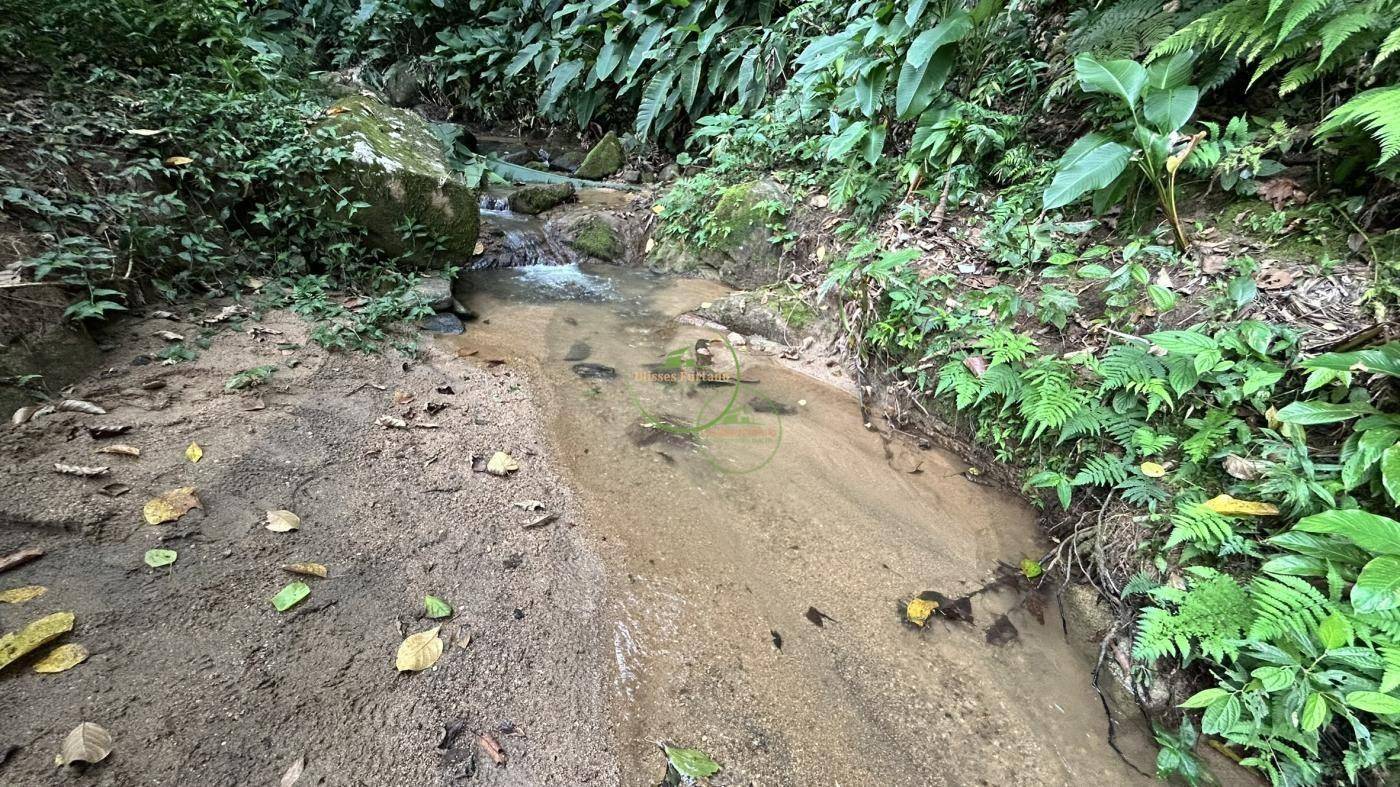 Terreno, 1800 m² - Foto 4